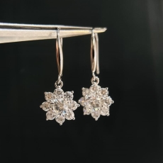 Harry Winston Earrings